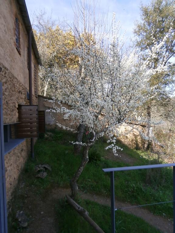 El Risco Del Lomero, Alberca 4 Huesp Max